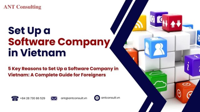 Set Up a Software Company in Vietnam